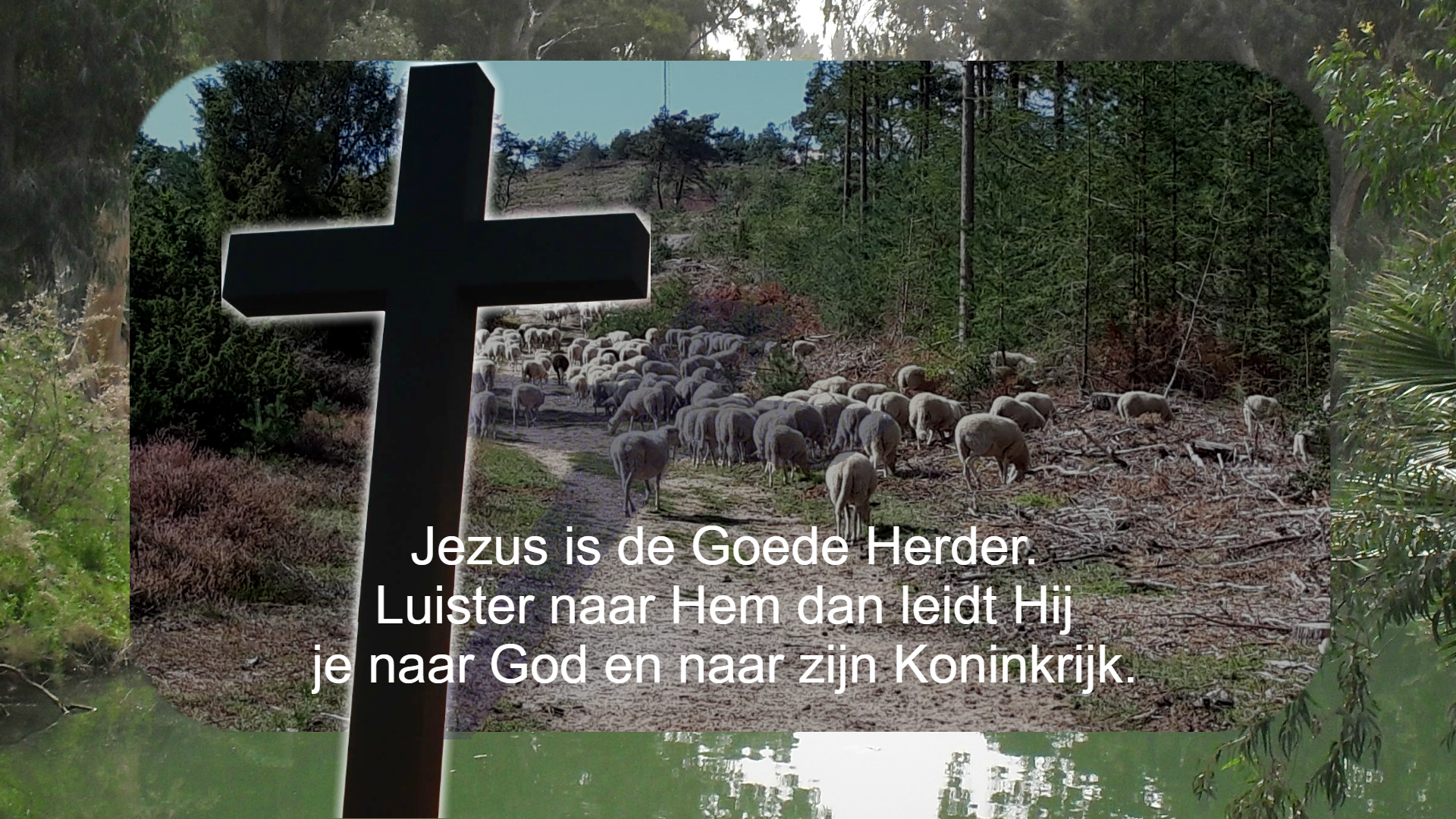 Jezus is de Goede Herder die ons wil leiden